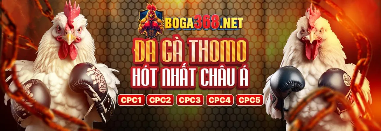 Đội ngũ Kimsa Chính Thức thảo luận chiến lược