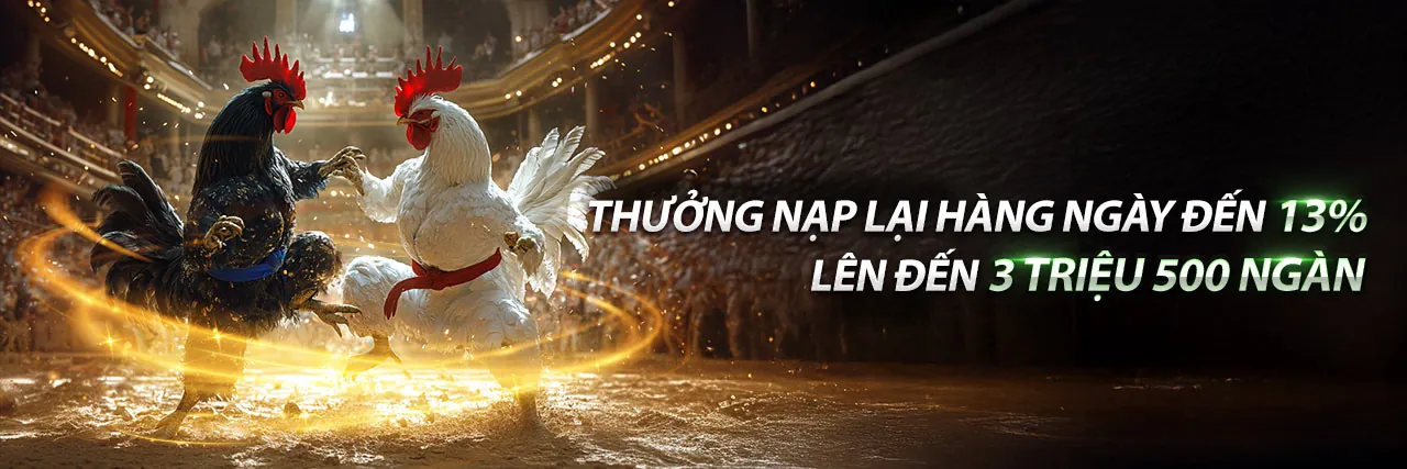 Đá gà trực tuyến Kimsa Chính Thức