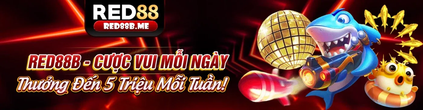 Các biện pháp bảo mật dữ liệu của Kimsa Chính Thức