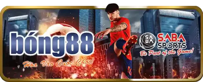 Chương trình hoàn trả Kimsa